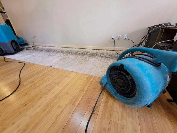 Professional Water Removal technician working in Kent, OH